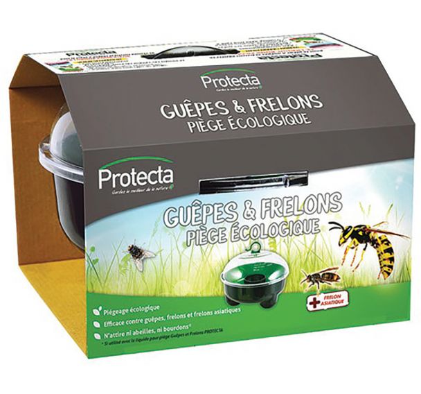 Piege A Guepe Cafe _ Quel Appât Pour Piège À Guêpes FYNSR — free download