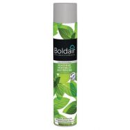 Boldair fraicheur mentholée bactéricide  - aérosol 500ml