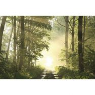 Cadre de décoration H65 x L 98 cm Forêt