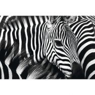 Cadre de décoration H65 x L 98 cm Zèbre