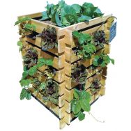 Carré potager Tour