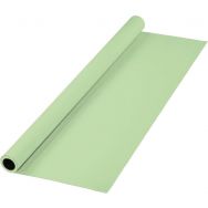 Carton de fond 2,75 x 11 m vert pomme