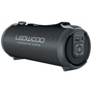 Enceinte bluetooth Access 100 - Ledwood