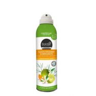 Lot de 12 Désodorisants d'intérieur fleur oranger & bergamote-Boldair