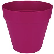 Lot de 4 Pot cerise d 20cm assure une humidité optimale