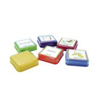Pack de 6 Big-Point - TTS