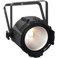 Projecteur à LED COB blanc chaud et blanc froid 100 W