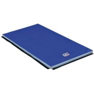 Tapis de gymnastique - GES - associatif houssé 200 x 100