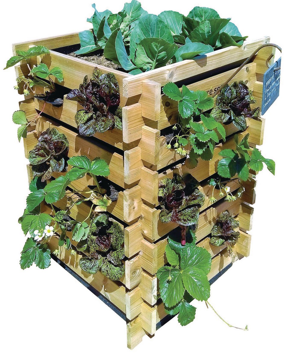 Carré potager et jardin pédagogique