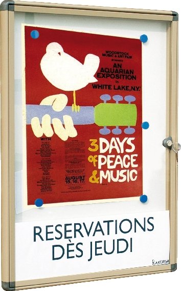 Vitrine d'affichage intérieure et extérieure