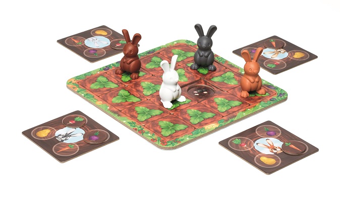 Jeu de cartes et jeu société