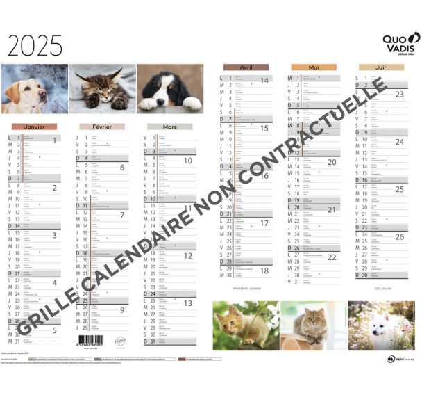 Calendrier 2025 Animaux Fantaisie Quo Vadis Manutan Collectivités