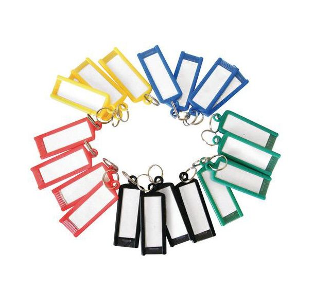 100 Porte clefs avec anneau coloris assorti