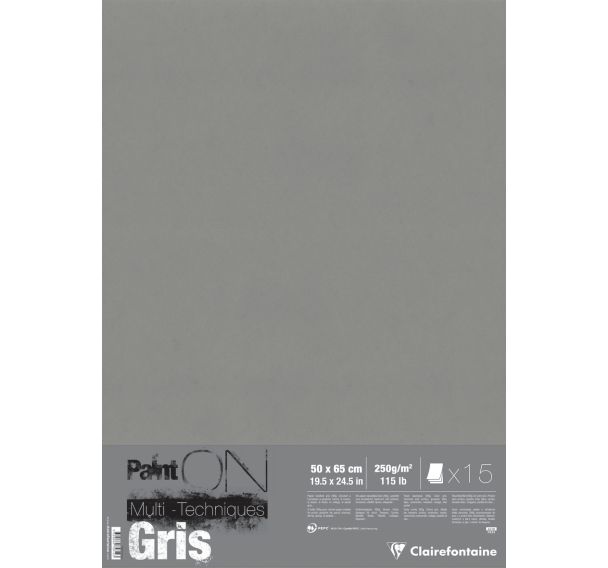 15 feuilles Paint'On Gris 50x65 250g