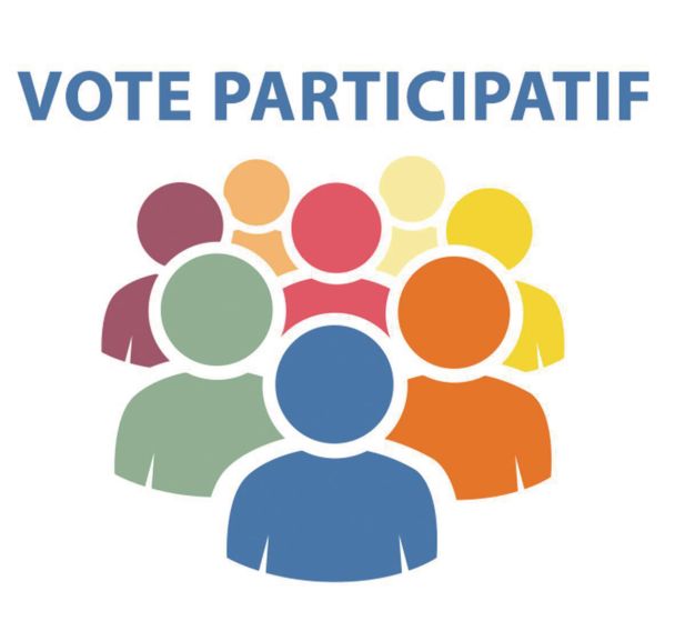 1 vote participatif avec France connect