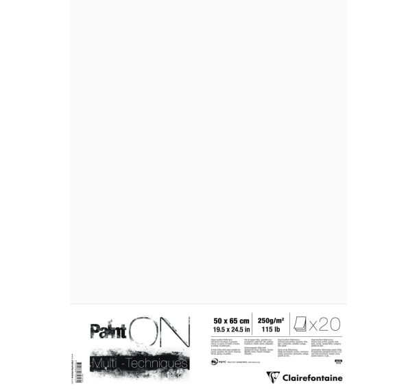 20 feuilles Paint'On Blanc 50x65 250g