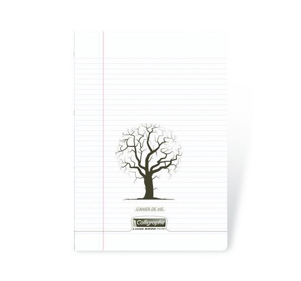 8000 POLYPRO, CAHIER DE VIE incolore 24x32 96p R°Ligné 8mm+marge V°Uni 90g