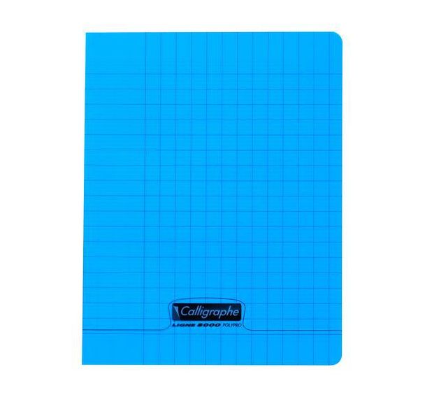 8000 POLYPRO,  Cahier piqué bleu 17x22cm 32p Séyès2,5mm 90g