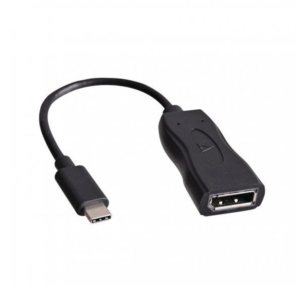 Adaptateur USB-C vers 1 DisplayPort - noir