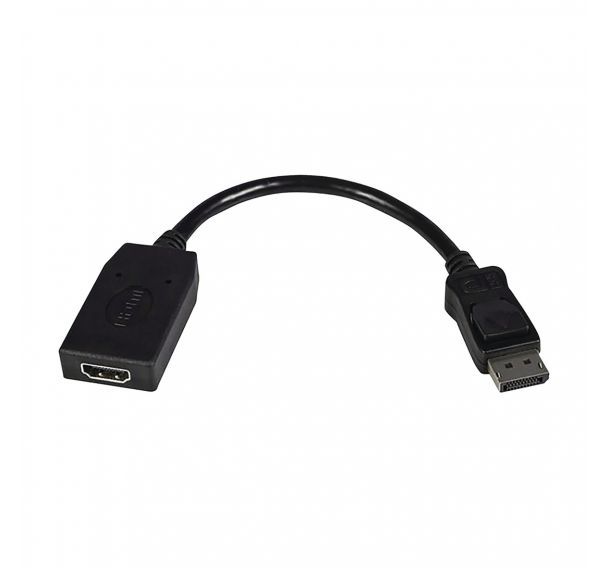 Adaptateur Vidéo DisplayPort vers HDMI-Convertisseur DP-1920x1200