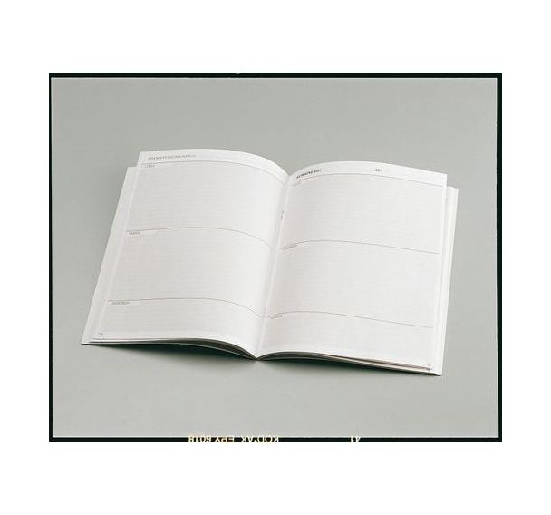 Agenda scolaire 90g 17x22 cm 80 pages semaine sur 2 pages