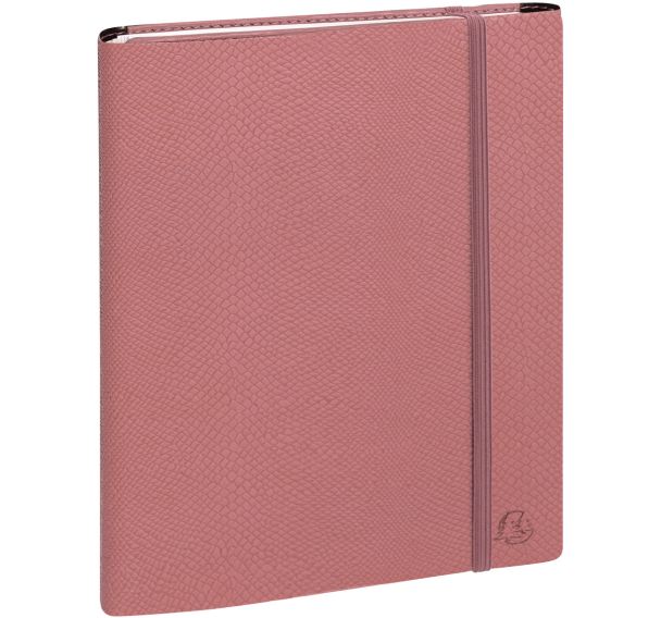 Agenda semainier EasyTime 21S All in One Mini Labo rose