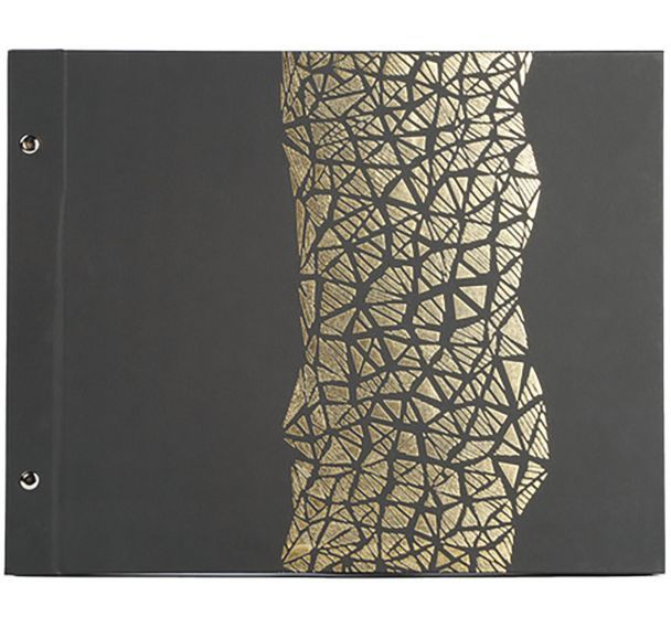 Album à vis de 40 pages noir 37x29cm de couleur noir et or