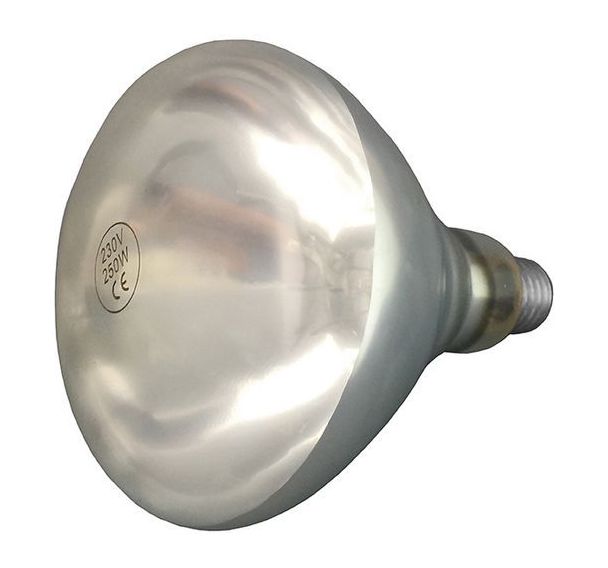 Ampoule pour lampe chauffante E27