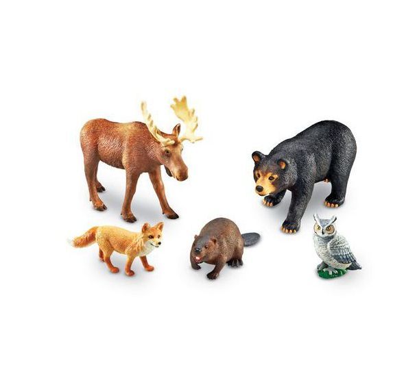 Animaux de la forêt géants