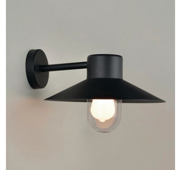 Applique en acier inoxydable globe en verre noir