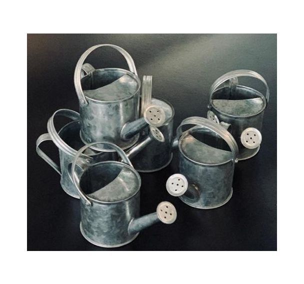 Arrosoir en zinc 60 x 120 x 60 mm (Lot de 6)