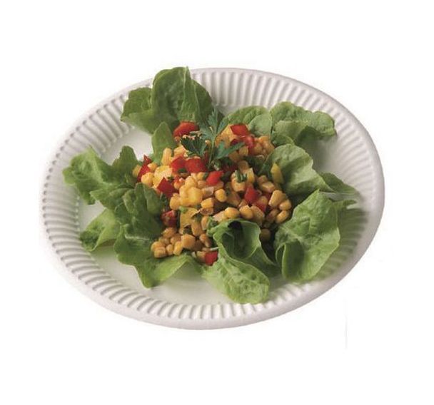 Assiettes en carton_Matfer