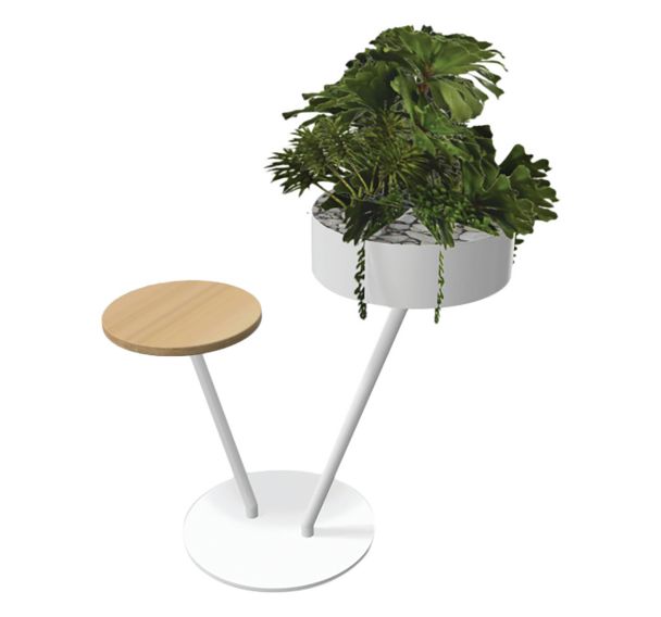 Babylone 2 branches 1 tablette bois + 1 Succulente
