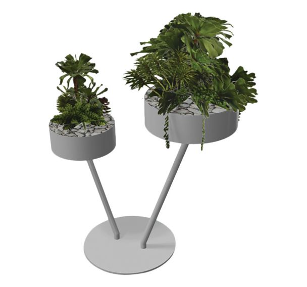 Babylone 2 branches 2 Succulente