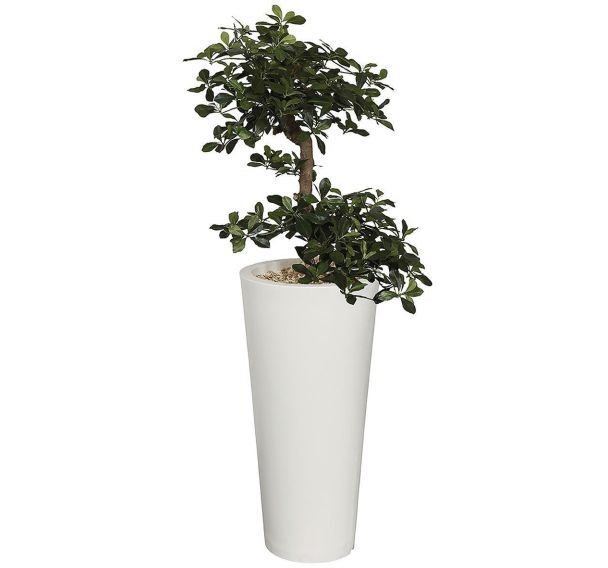 Bac Bonzaï rond 85 cm