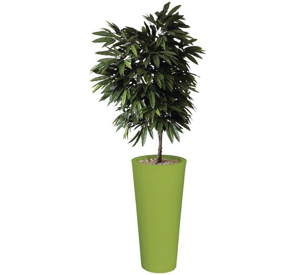 Bac Manguier rond 85 cm
