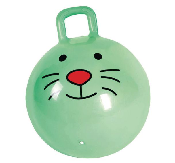 Balle sauteuse chat