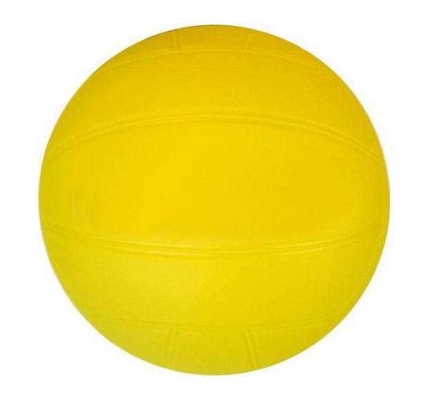 Ballon de volley