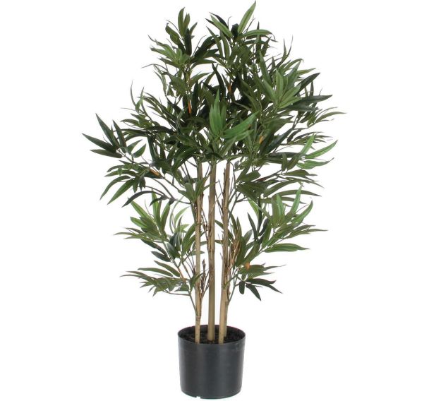 Bambou 150cm