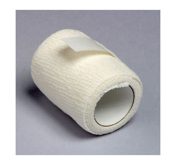 Bande BENDHAFT Biosport 6cm x 4m