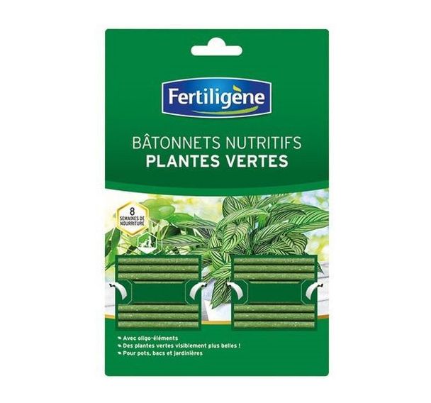 Bâtonnet plantes vertes - Boîte de 40