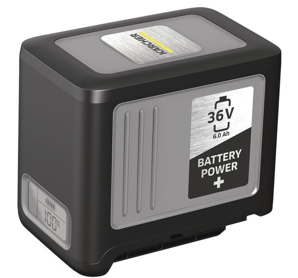 Batterie Power+ 36/60 6 Ah - 2.042-022.0