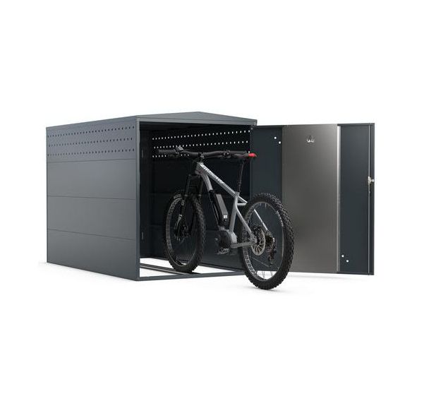 BikeBox 1 XL G AE 1 Vélo large - WSM