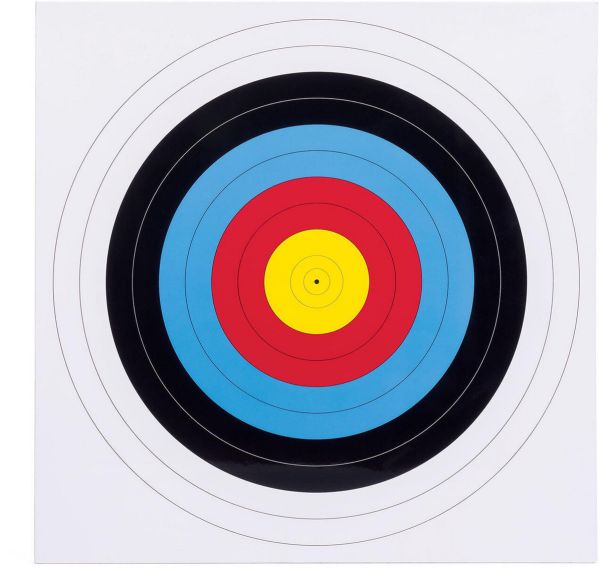 Blason / Cible PVC Diametre 60 cm pour Fleche Ventouse