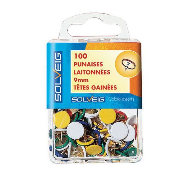 Boite de 100 Punaises à tête plate - Pointe 6 mm
