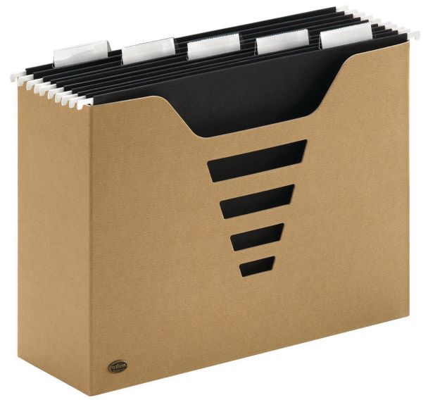 Boîte de classement en kraft avec 5 dossiers suspendus