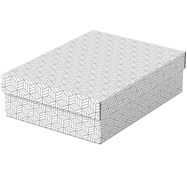Boîte de rangement Home - Medium hauteur 10 cm - Lot de 3 - Esselte
