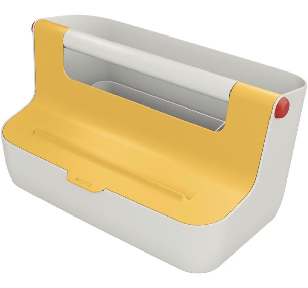 Boite de rangement Leitz Cosy