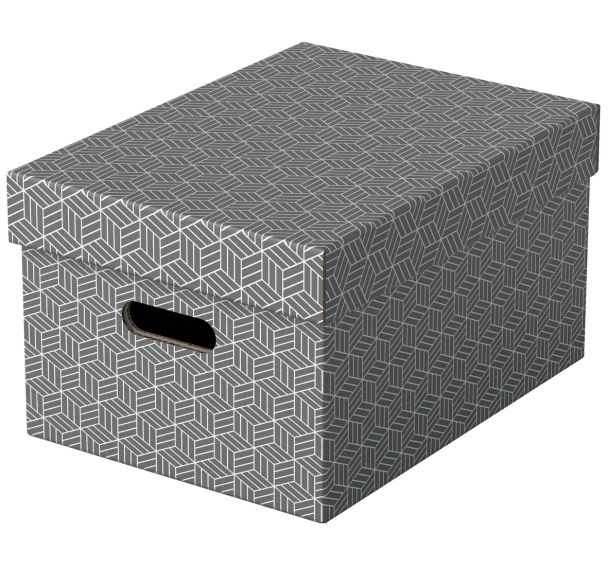 Boîtes de rangement Esselte Home, format M, gris, x3