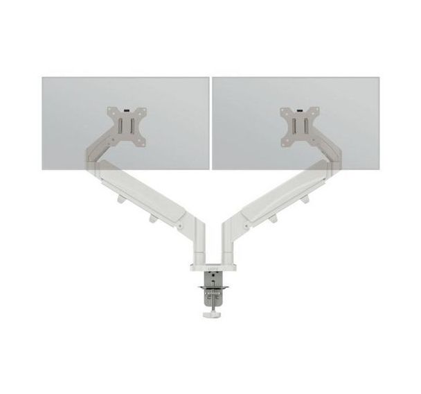 Bras double pour écran - Gris clair - Leitz